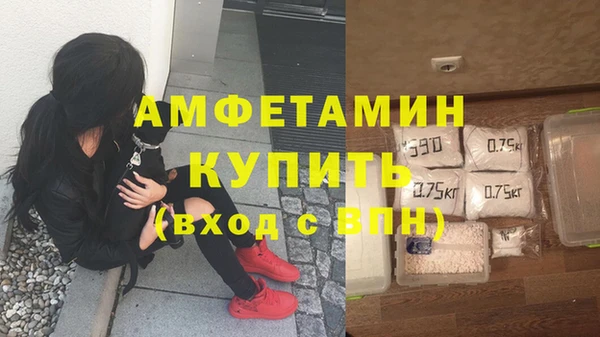 гидра Михайловск